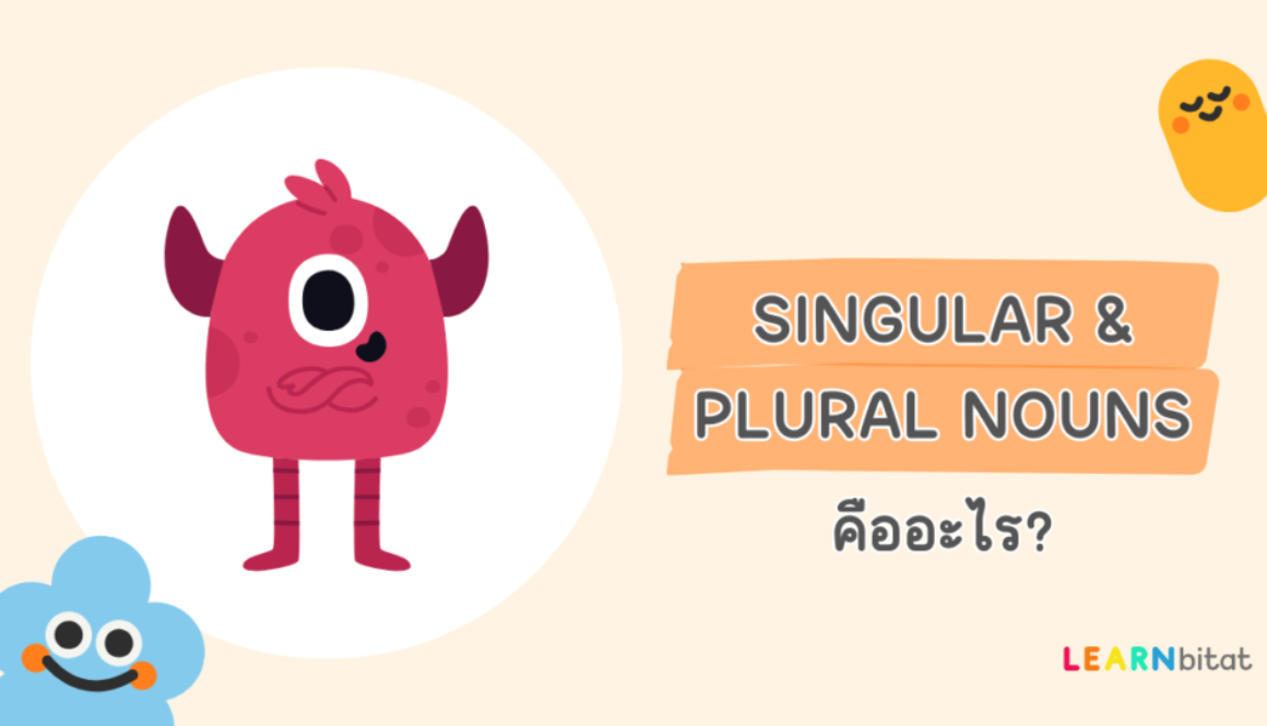 Singular and Plural Nouns คืออะไร มีอะไรบ้าง